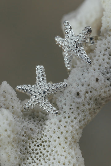 Starfish earrings