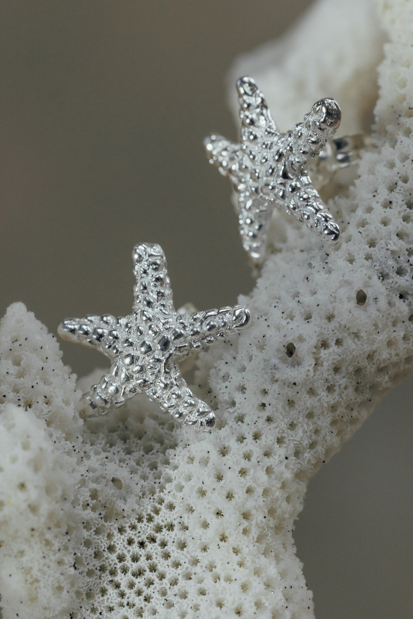 Starfish earrings